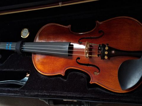 Violino Clássico em Ótimo Estado