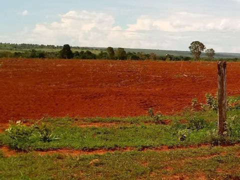 Fazenda arrendamento barra do garça MT. 1300 hect em pasto, R$: 3°ano 4 sacas soja