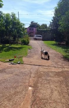 Vendo Casa no Estrela Porã 
