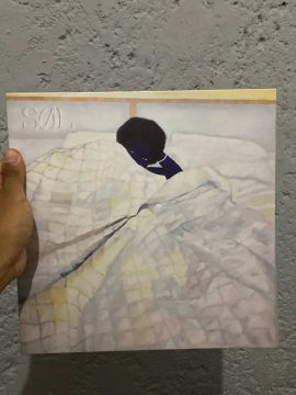 Disco de Vinil - Anelis Assumpção- Sol - Noize NOVO