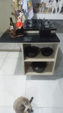 Fogão coolk com ilha!