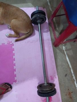Barra com anilhas para musculação 