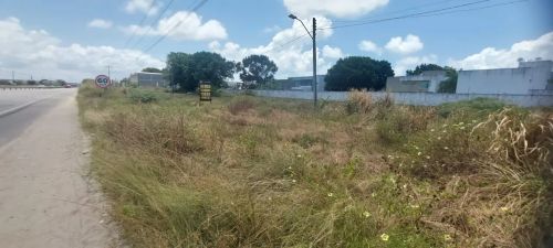 ALUGO 4 TERRENOS  LITORAL SUL - NA PRINCIPAL
