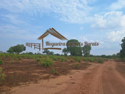 Fazenda com 250 hectares à venda em Cuiabá-MT
