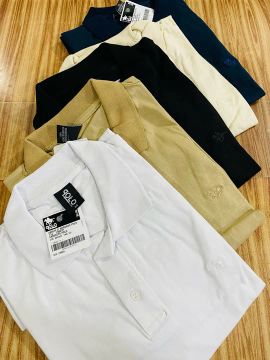 06 GOLA POLO POR 294,00