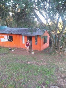 Sítio com casa e pomar