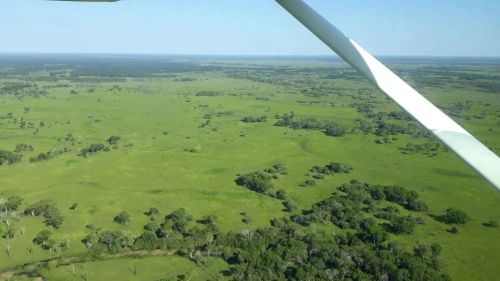Fazenda para Venda em Poconé
