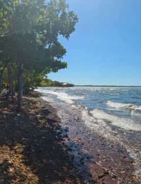 Vende-se Rancho no lago angical - Peixe  - Tocantins