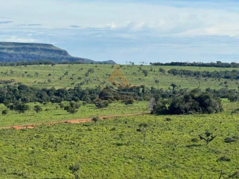 Fazenda - Primavera do Leste - Zona Rural