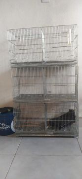 Gaiola para pássaros 170,00 cada