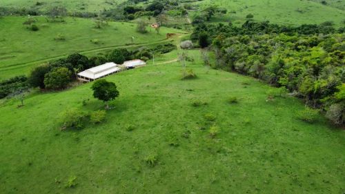 SITIO EM UBAS CARAPEBUS - OPORTUNIDADE