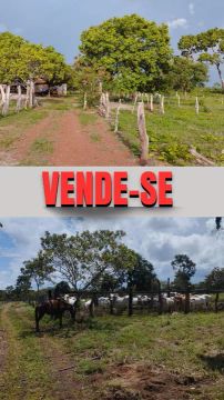 A VENDA FAZENDA EM CRISTALÂNDIA 