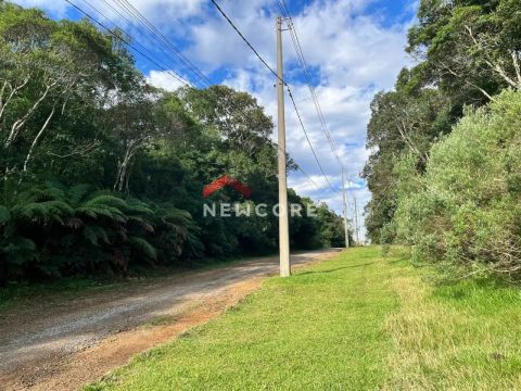 Lote em Avenida Ximangos - Colinas - São Francisco de Paula/RS