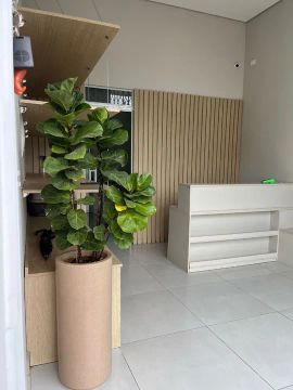 Banho e tosa completo com clientela fixa