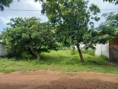 Excelente Terreno Plano de 450m² em Cotovelo