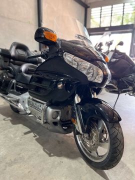 Gold wing 
