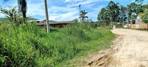 Terreno à venda, 2100 m² por R$ 430.000,00 - Santa Lidia - Penha/SC