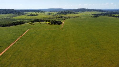 Fazenda 3.600 hect município de Matpá MT. R$:124 milhões.