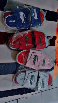 Sandálias Lacoste - Diversas Cores