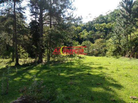 SITIO ESTRELA DE DAVI CAMPININHA ATIBAIA
