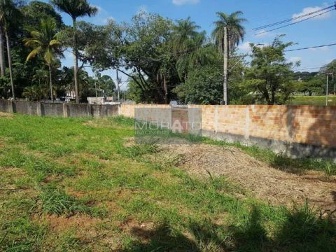 Lote , Jardim Atlântico - Belo Horizonte/MG