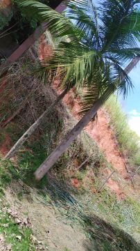 Lote a Venda Barro Jardim em Ponte Nova MG