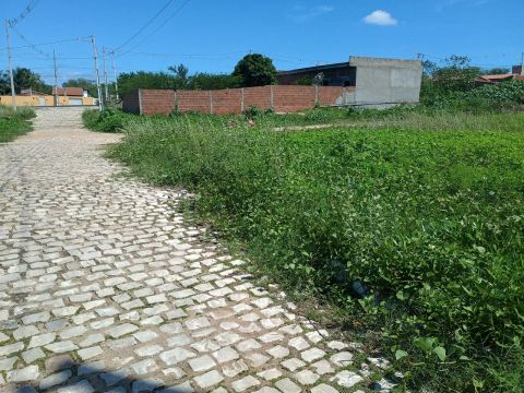 Alugo terreno em angicos!!!!