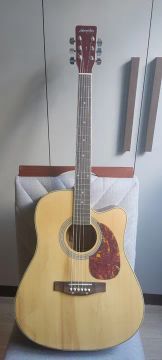 Violão elétrico Tagima 