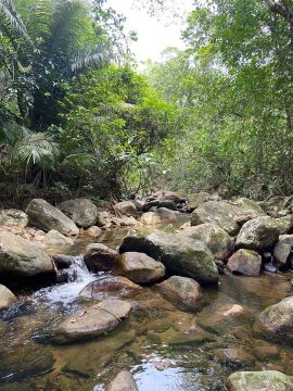Vendo Terreno com cachoeira em Tinguá - Janjana
