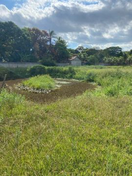 Terreno para Locação em Vila Rica, Itaboraí 