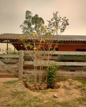 Excelente oportunidade para quem gosta de espaço e aprecia a natureza