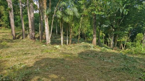 Área de terra na Estrada Morro Príncipe 1222