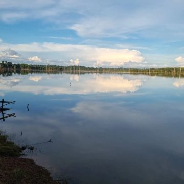 Vendo Sítio em Itapuã do Oeste Rondônia! 