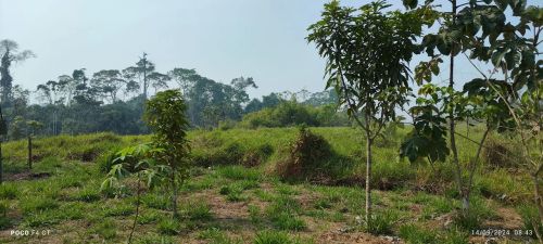 Terreno com área verde em local tranquilo