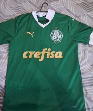Camiseta original Palmeiras 2024 usada 1 vez, *DISPENSO CURIOSOS*