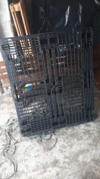 Pallet de plástico retirar em diadema 35 cada conforme a foto
