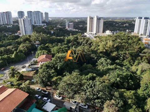 TERRENO EM PATAMARES