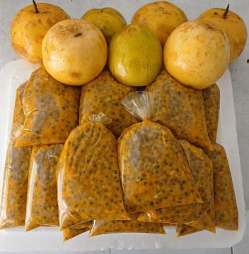 Polpa de Maracujá 1kg - 17,00