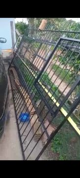 Portão de Ferro -  - Excelente Qualidade