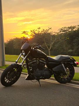 Harley Davidson 883 - 2008