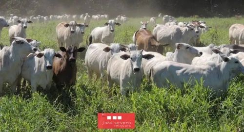 Fazenda para Venda em Aquidauana