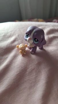 Littlest Pet Shop #2405