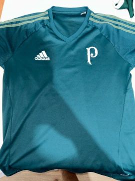 Camiseta Adidas Palmeiras Verde Treino