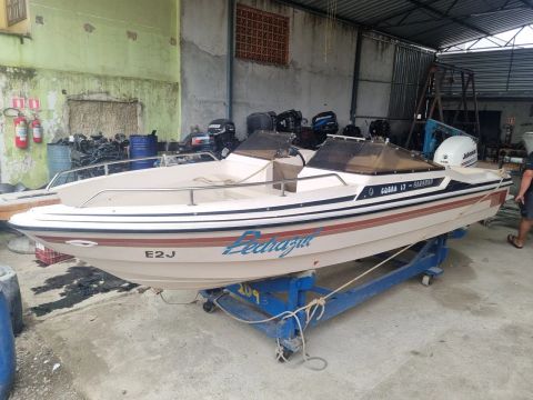 Lancha Cobra 17