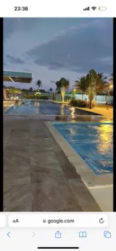 Alphaville terras 1 -