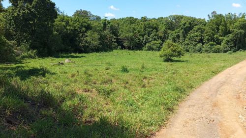 Terrenos de 1.000 m² a 5.000 m² Para Chácara na  Boa Vista - Piracaia - SP
