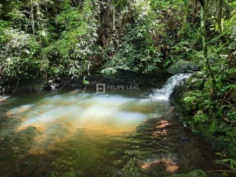 Fazenda em Rio Areias - Angelina