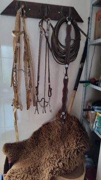 Conjunto de Freios para Cavalo