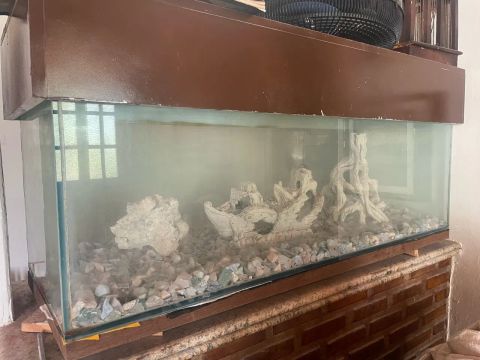 Aquário de Peixes 120x40,5x56cm