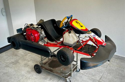 KART BIREL GX390